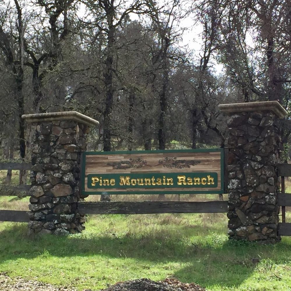 Pine Mountain Ranch